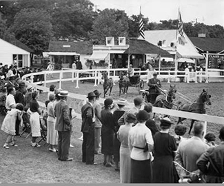 Devon Horse Show historic picture