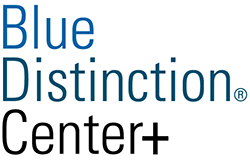 IBC Blue Distinction Center Plus