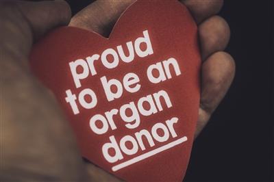 Hand holding red heart shape that says proud to be an organ donor