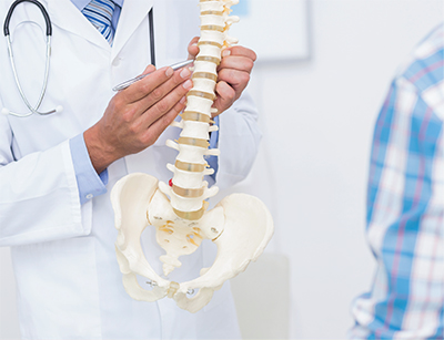 Doctor holding a replica of a person's spine and pelvic bone, pointing out a particular spot to a patient looking on